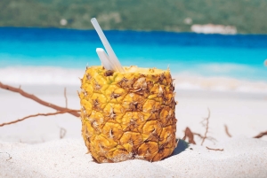 Punta Cana: Samaná Whale Watching and El Limón Day Tour