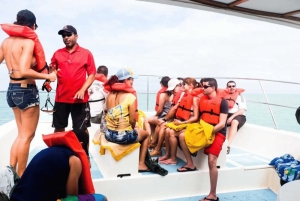 Punta Cana: Samaná Whale Watching and El Limón Day Tour