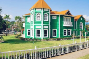 Punta Cana: Samaná Whale Watching and El Limón Day Tour