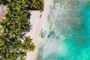 Punta Cana: Samana Whale Watching, Cayo Levantado & Lunch