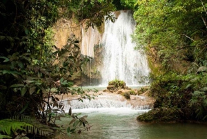 Punta Cana : Excursion d'une journée à Samana avec chute d'eau et île de Bacardi