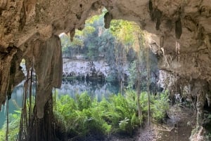 Punta Cana: Byomvisning i Santo Domingo med lunsj