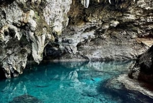 Punta Cana: Byomvisning i Santo Domingo med lunsj