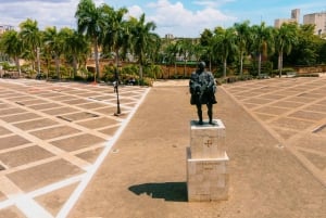 Punta Cana: Santo Domingo Dagstur med lunsjbuffé