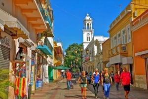 Punta Cana: Domingon päiväretki lipuilla ja lounaalla.