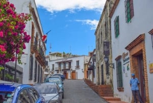 Punta Cana: Santo Domingo Day Trip with Tickets and Lunch