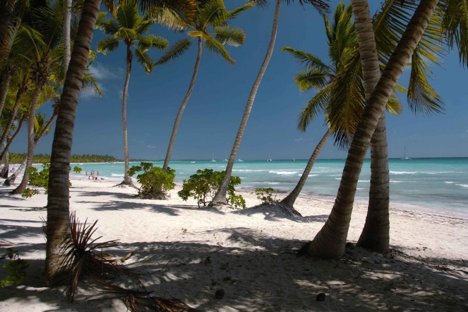 Punta Cana: Saona, Canto de la Playa & Mano Juan Village