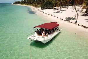 Île de Saona : Excursion d'une journée en petit groupe pour une croisière sur les plages vierges