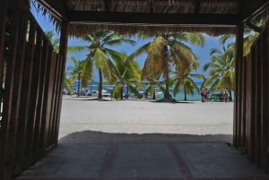 Punta Cana: Saona Island Beaches and Turtle Nursery Tour