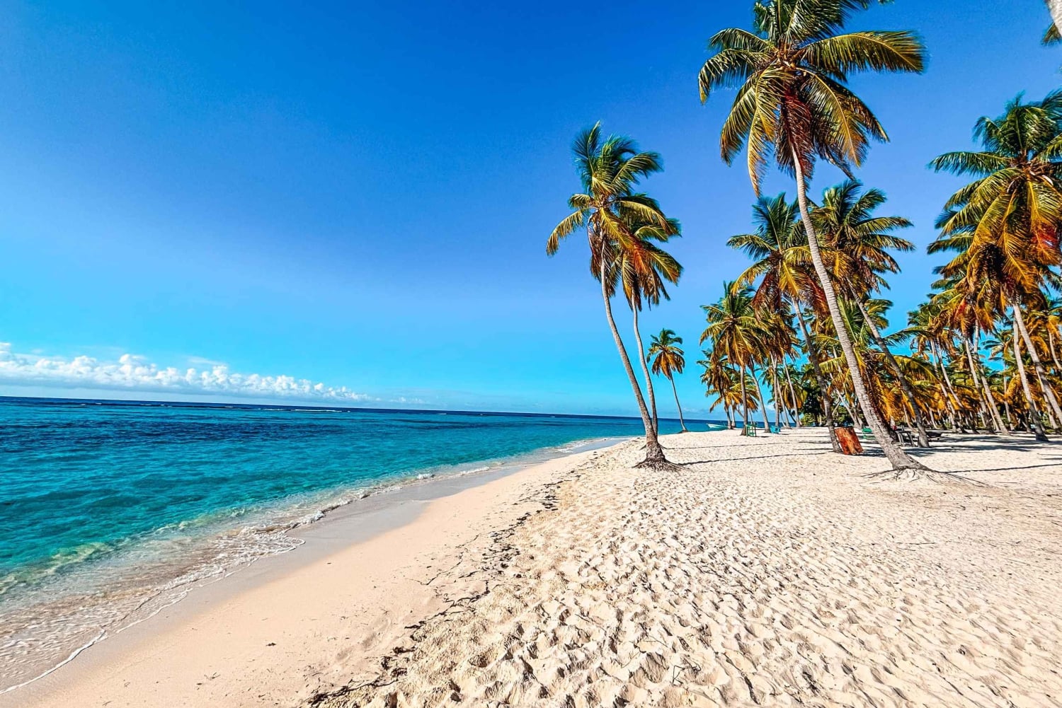 Punta Cana: Saona Crusoe VIP