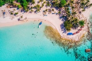 Punta Cana: Saona Islan Día Completo Con Catamarán Y Buffet