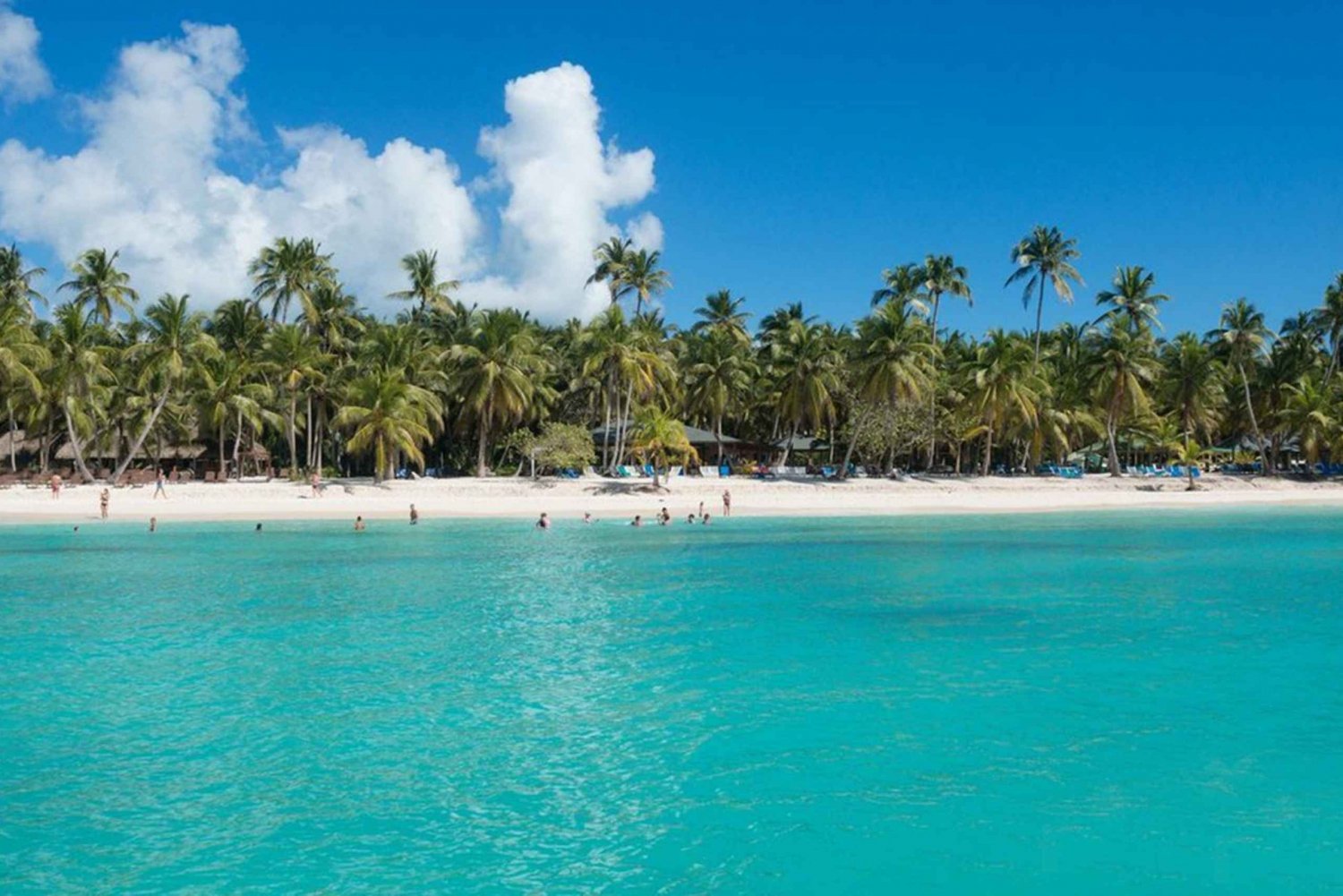 Punta Cana: Excursión de un día con todo incluido a la Isla Saona