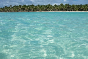 Punta Cana: Saona Island All-Inclusive Day Trip