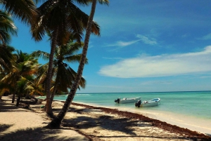 Punta Cana: Saona Island All-Inclusive dagstur