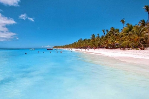 Punta Cana: Saona Island All-Inclusive dagstur