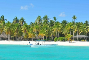 Punta Cana: Saona Island All-Inclusive Day Trip