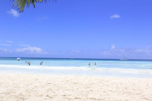Punta Cana: Saona Island and Altos de Chavón Day Trip