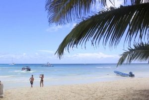 Punta Cana: tour de 1 día a isla Saona y Altos de Chavón