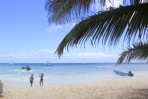 Punta Cana: Pana Cana: Saona Island ja Altos de Chavón päiväretki: Saona Island ja Altos de Chavón päiväretki