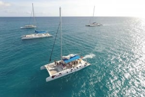 Punta Cana: tour de 1 día a isla Saona y Altos de Chavón