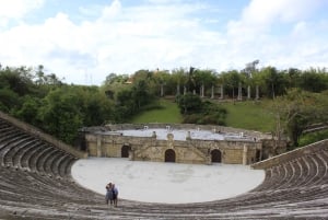 Punta Cana: Dagtrip Saona-eiland en Altos de Chavón
