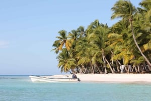 Punta Cana: Dagtrip Saona-eiland en Altos de Chavón