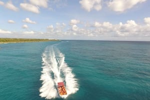 Punta Cana: Dagtrip Saona-eiland en Altos de Chavón