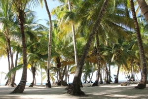 Punta Cana: Dagtrip Saona-eiland en Altos de Chavón