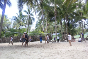 Punta Cana: Dagtrip Saona-eiland en Altos de Chavón
