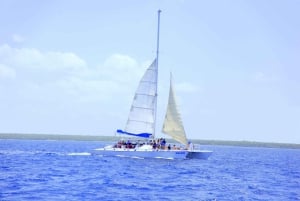 Punta Cana: Dagtrip Saona-eiland en Altos de Chavón
