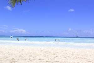 Punta Cana: Dagtrip Saona-eiland en Altos de Chavón