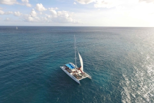 Punta Cana: Saona Island and Buggy Combo