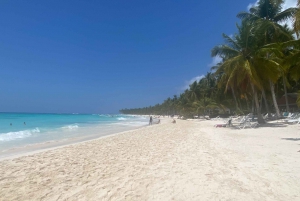Punta cana: Isla Saona y piscina natural