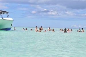 Punta cana: Isla Saona y piscina natural