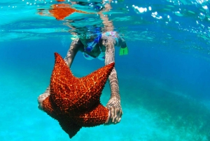 Punta Cana: Båttur på ön Saona med lunch och dryck