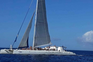 Punta Cana: Båttur på ön Saona med lunch och dryck