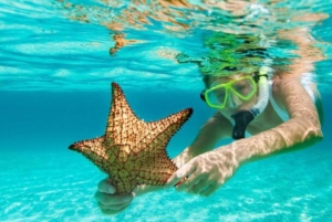 Punta Cana: Båttur på ön Saona med lunch och dryck