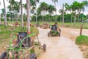 Punta Cana: Saona Island og buggy-eventyr 2-dagersomvisning