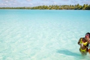 Punta Cana: Saona Island Catamaran and Speedboat Tour