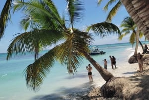 Punta Cana: Saona Island Katamaran und Speedboat Tour