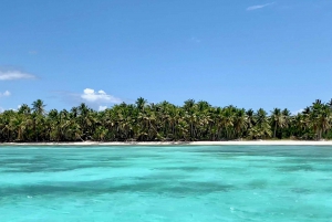 Punta Cana: Saona Island Catamaran Beach Tour with Lunch