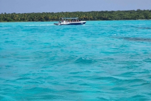 Punta Cana: Saona Island Catamaran Beach Tour with Lunch