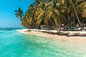 Punta Cana: Saona Island Katamaran Mat Drikke Med Transport