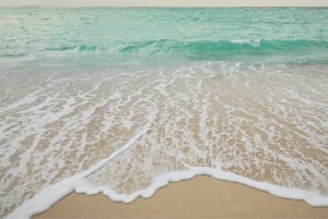 Punta Cana: Saona Island Katamaran Mat Dryck Med Transport