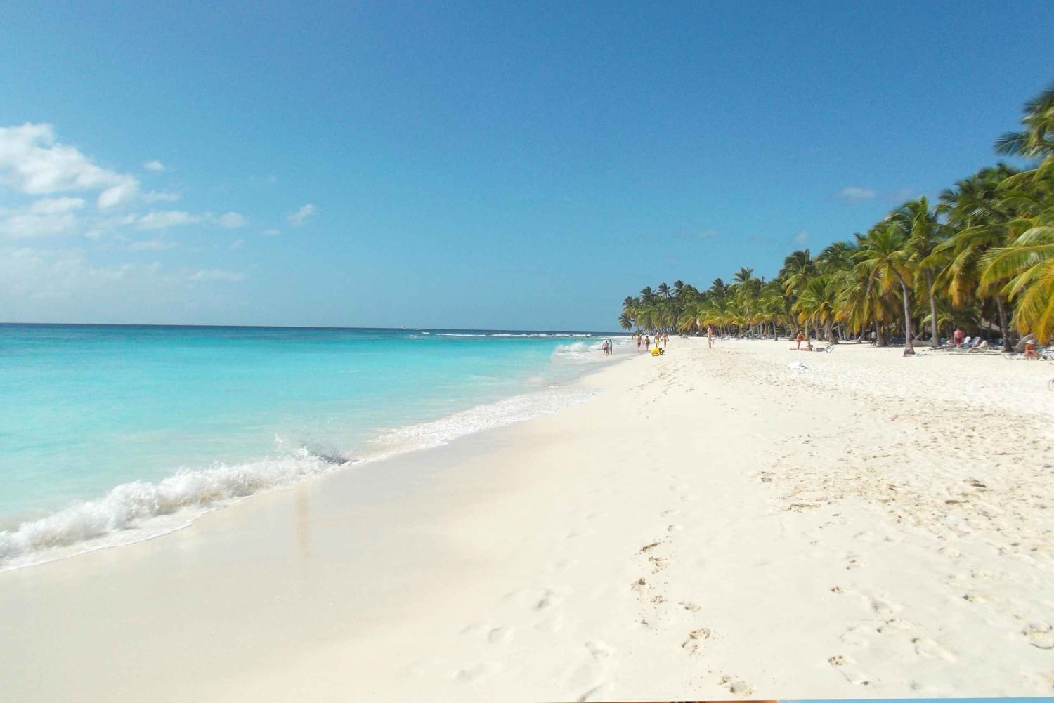 Punta Cana: Saona Island Catamaran Tour & Buffet Lunch: Saona Island Catamaran Tour & Buffet Lunch