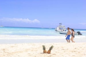 Punta Cana: Saona Eiland Catamaran Tour & Lunch Buffet