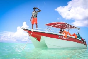 Punta Cana: Saona Island katamaran