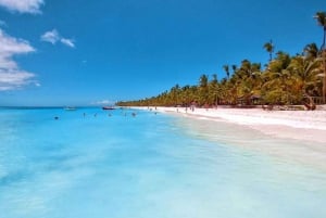 Punta Cana: Excursión Clásica Isla Saona Día Completo