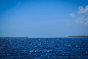 Punta Cana: crucero a Isla Saona con almuerzo y barra libre deluxe