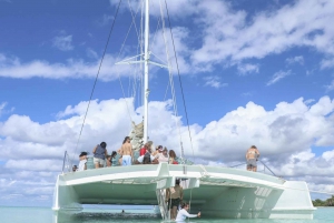 Punta Cana : Excursion d'une journée sur l'île de Saona avec lagon bleu et déjeuner